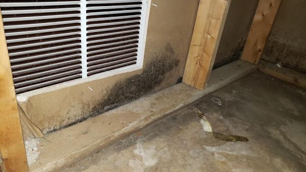 Thin Line Home Inspections
