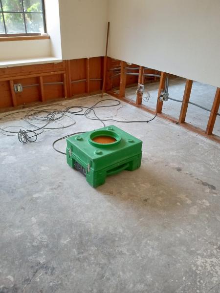 Mold Testing California