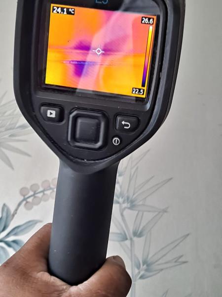 Mold Testing California