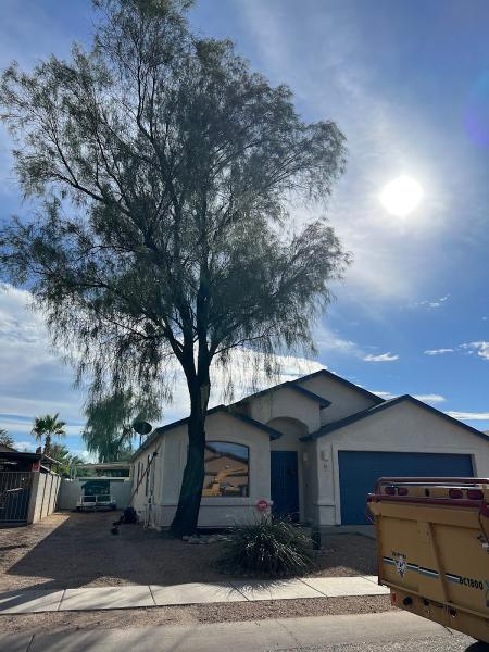 Desert Canopy Tree Service LLC