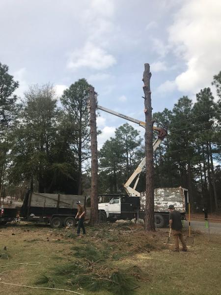 Tyndall's Tree Services