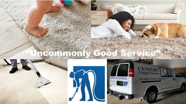 Century Carpet Cleaning
