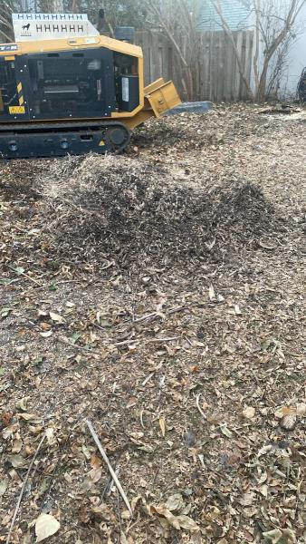 A1 Tree & Stump Removal