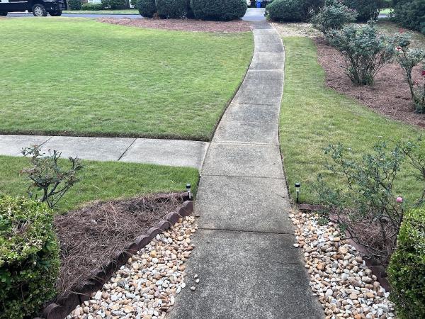 All Star Pressure Washing & Softwash