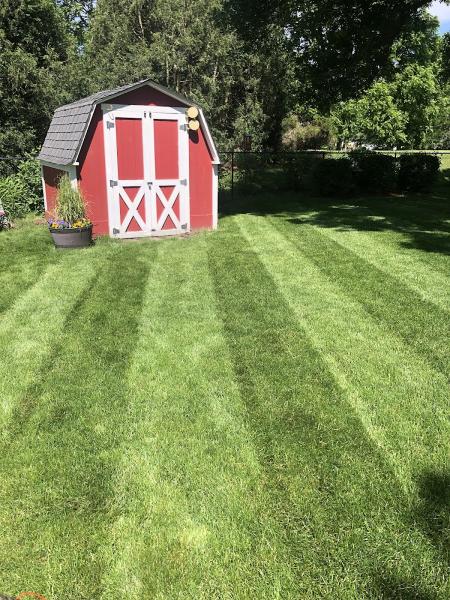 Mow Bros Lawn Care