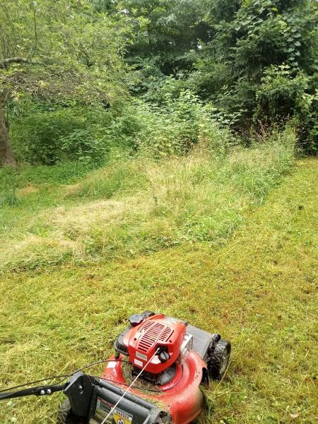 Jesse's Lawn Work Mifflin County Pa