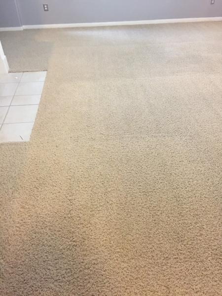 ABC Carpet Cleaning Houston
