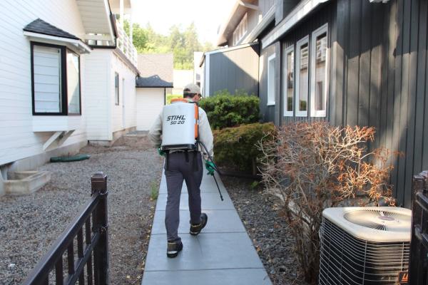 Sure Green Lawn and Tree Service