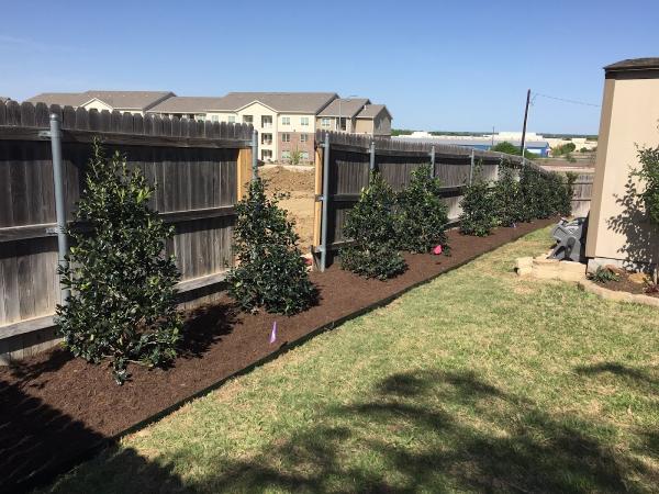 Borjon Lawn Service