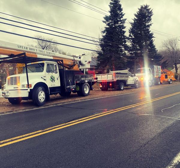 Spear Bro's Tree Service