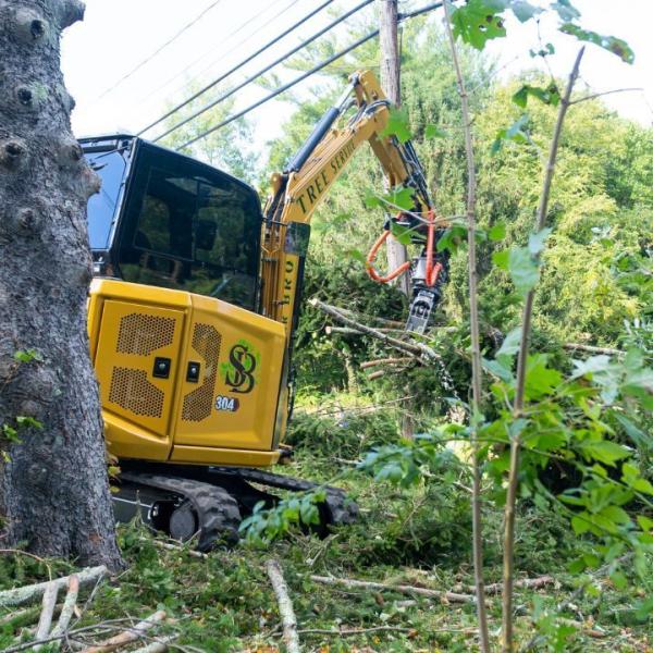 Spear Bro's Tree Service