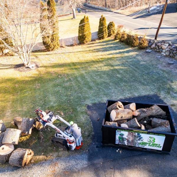 Spear Bro's Tree Service
