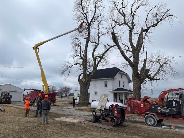 Pitts Lawn & Tree Service