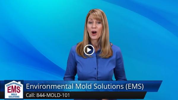 Environmental Mold Solutions