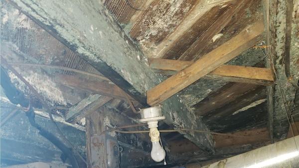 Environmental Mold Solutions