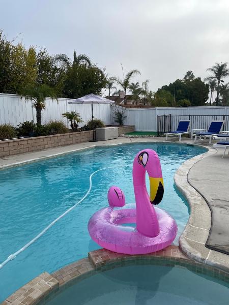 Coe Crew Pools