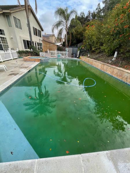 Coe Crew Pools
