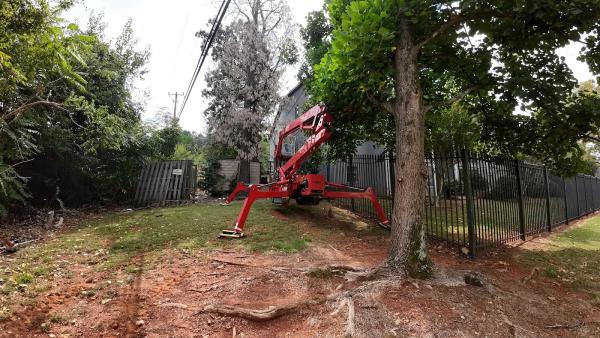 Champion Tree Service