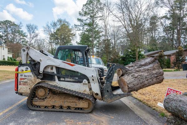 Champion Tree Service