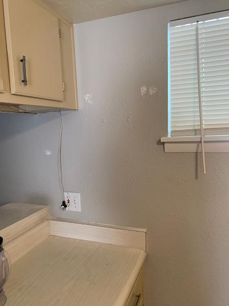 Henderson Pest Elimination