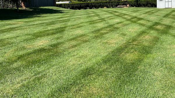 A.duques Landscaping LLC