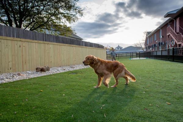 Seabreeze Landscaping