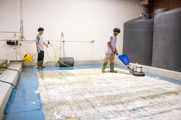 S&S Rug Cleaners Inc.