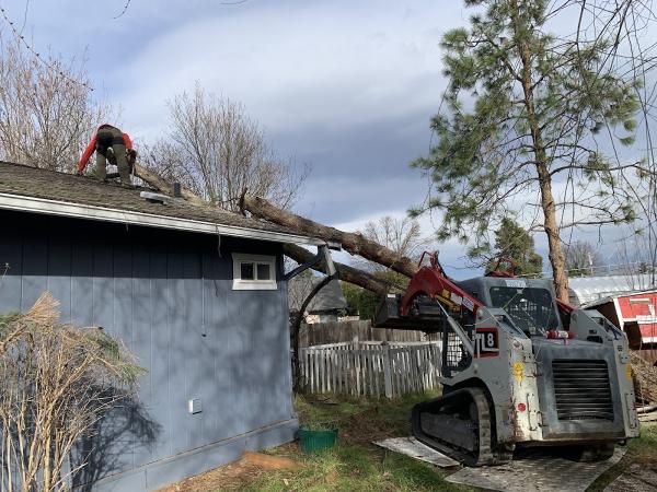 Table Rock Tree Care Llc.