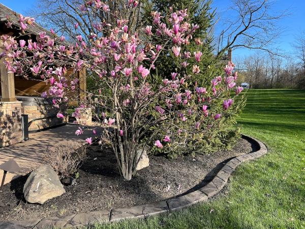 Permanent Curb Appeal LLC