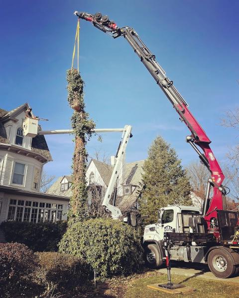 Titan Tree Service