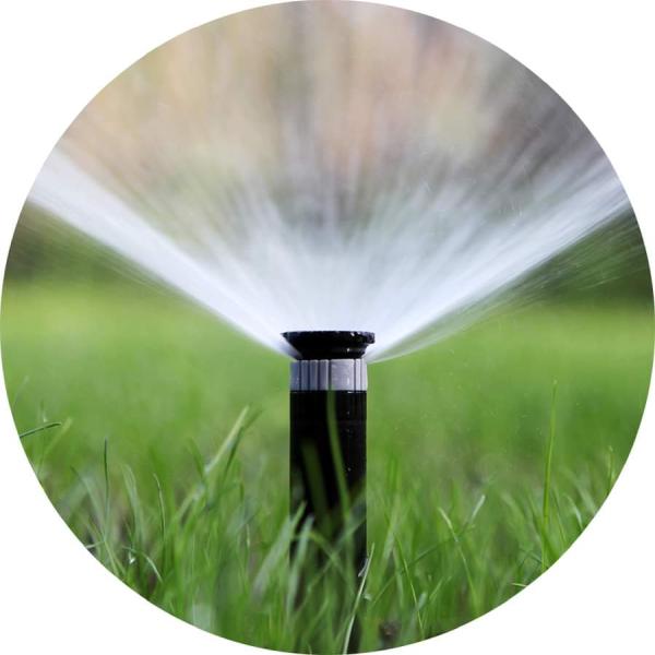 Bolt Irrigation
