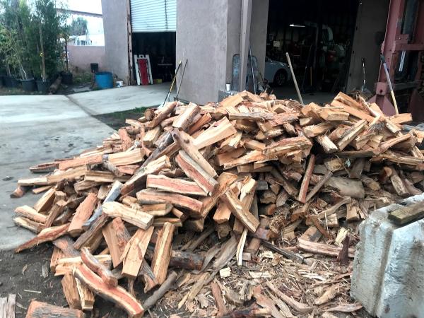 Treeco Arborist