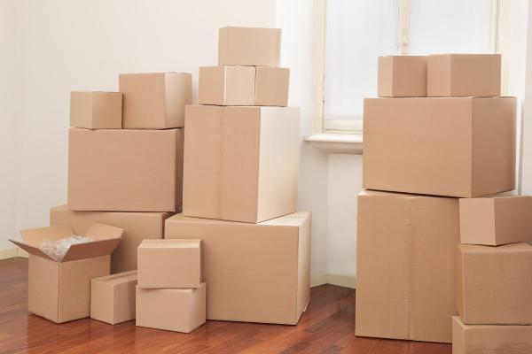 ACE Movers