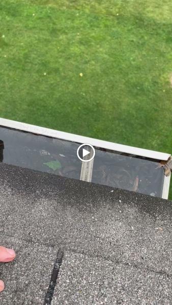 Debris Free Rain Gutter Experts