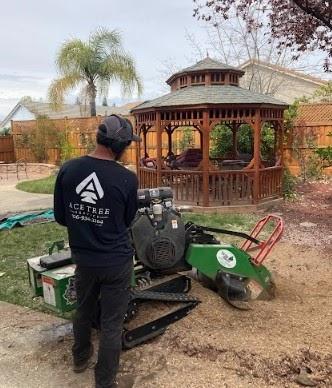Ace Tree Service