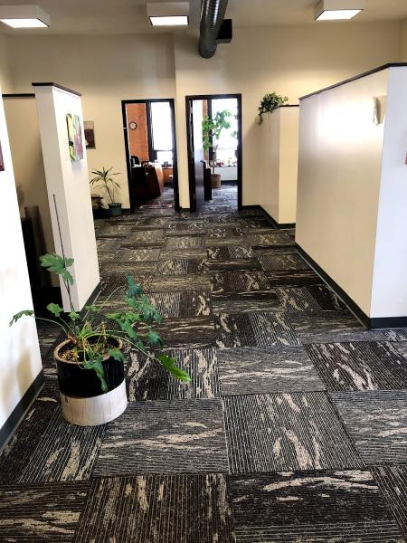 New View Cleaning Services LLC