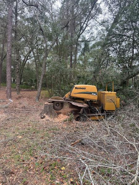 Southern Standard Tree Service