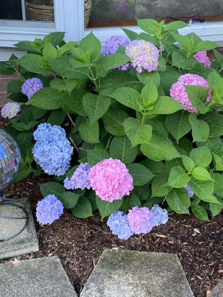 Debbie Gilchers Landscaping