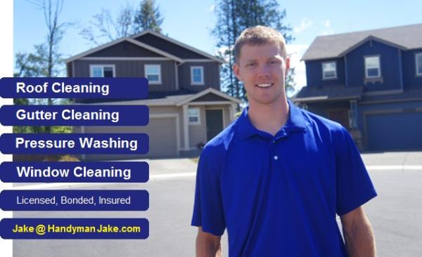Jake's Gutter & Roof Cleaning