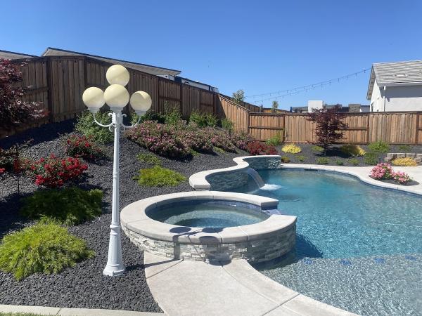 Proscapes Design Pool Landscape