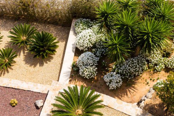 Al's Tree Service and Landscapes