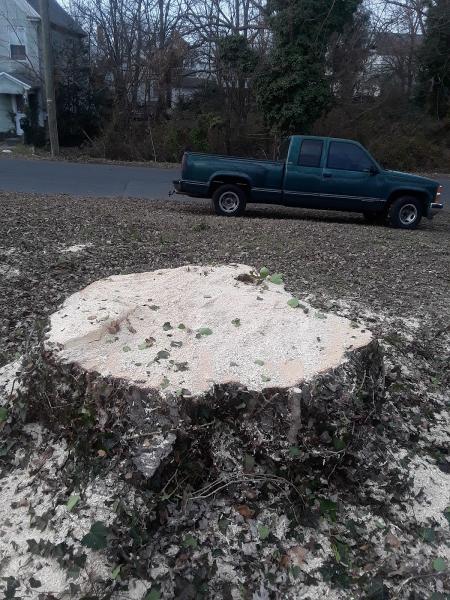 Eastern Tree Service