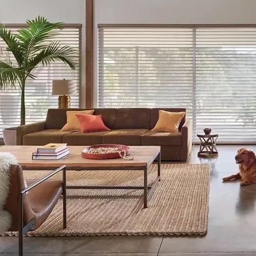LNG Blinds the Drapery and Motorization Experts!