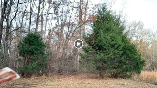 Creekside Forestry Mulching