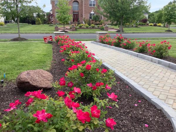 Executive Landscaping