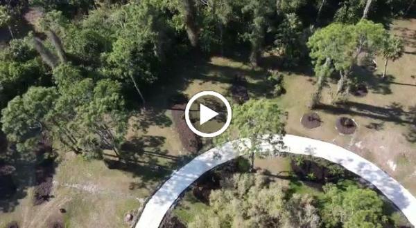 Edible Landscape Solutions