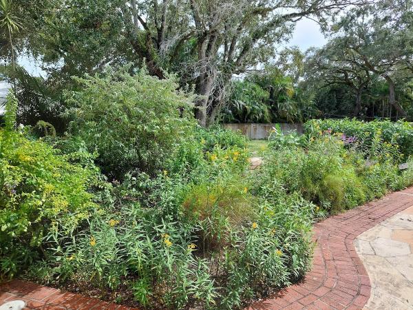 Edible Landscape Solutions