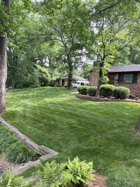 Wolfy's Landscaping Specialists