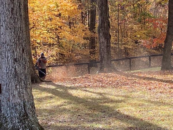 Wade's Lawn Service