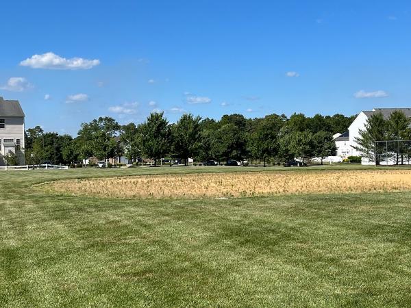 Associa Mid-Atlantic